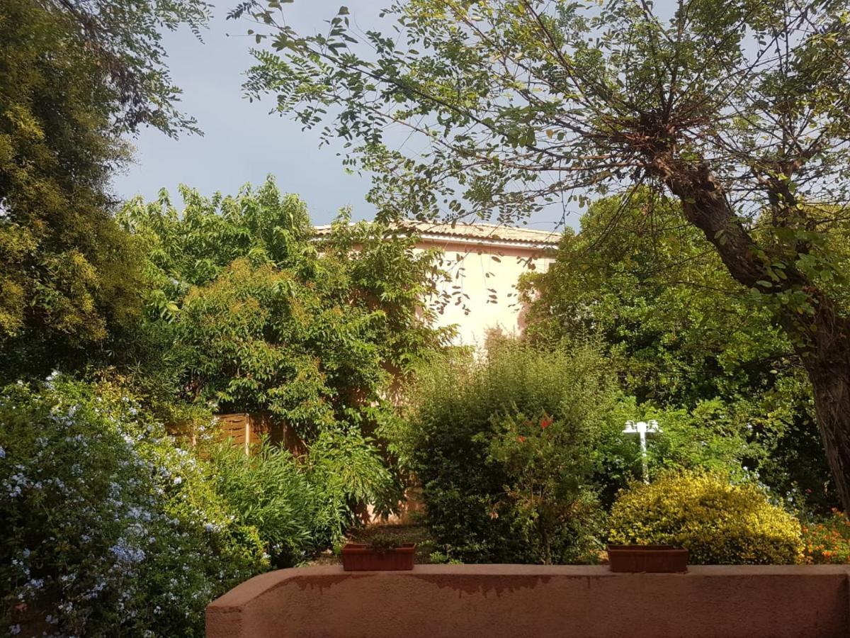 Le Clos des Arbousiers Linguizzetta Extérieur photo