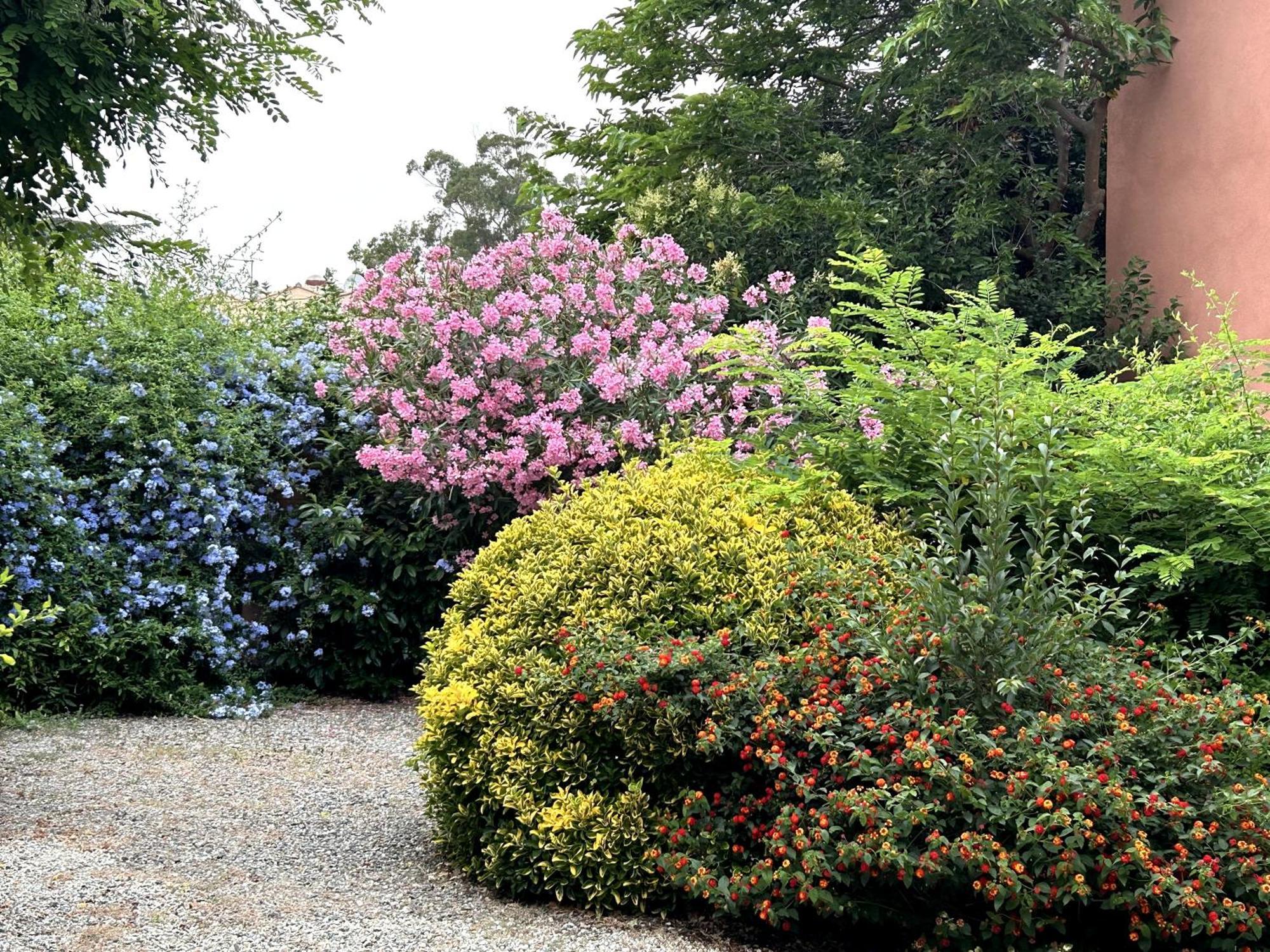 Le Clos des Arbousiers Linguizzetta Extérieur photo
