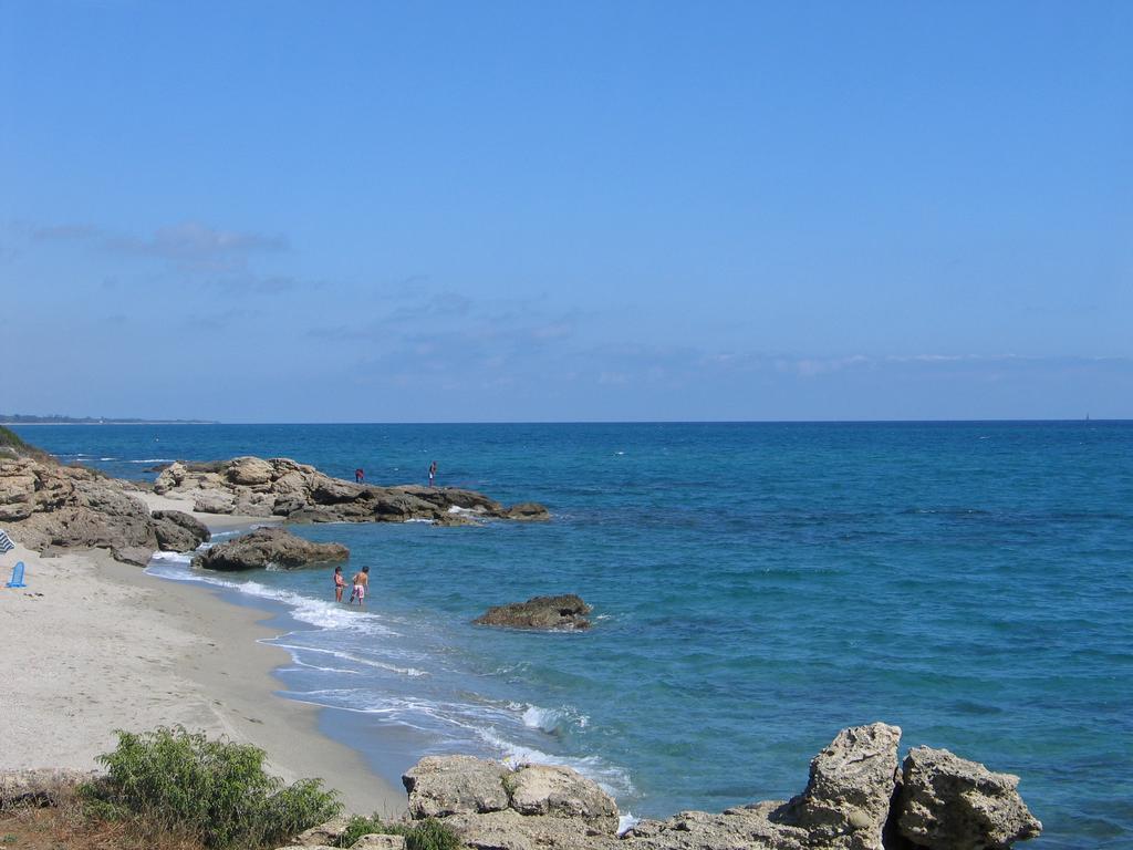 Le Clos des Arbousiers Linguizzetta Extérieur photo