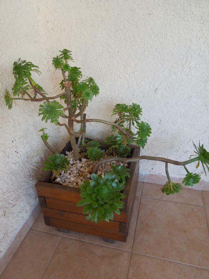 Le Clos des Arbousiers Linguizzetta Extérieur photo